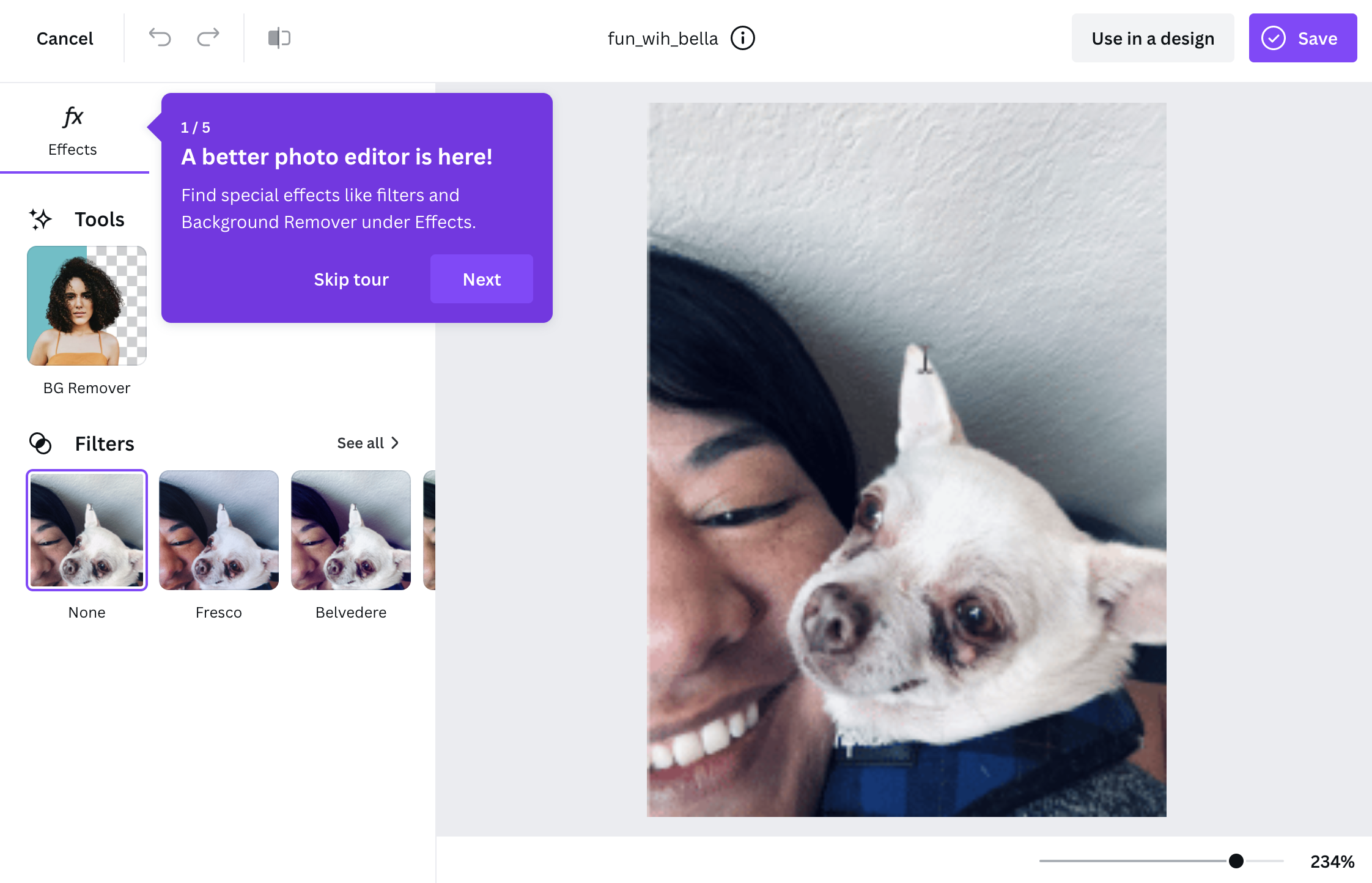 canva photo editor